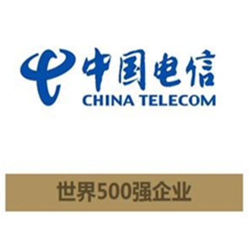 中国电信-世界500强企业